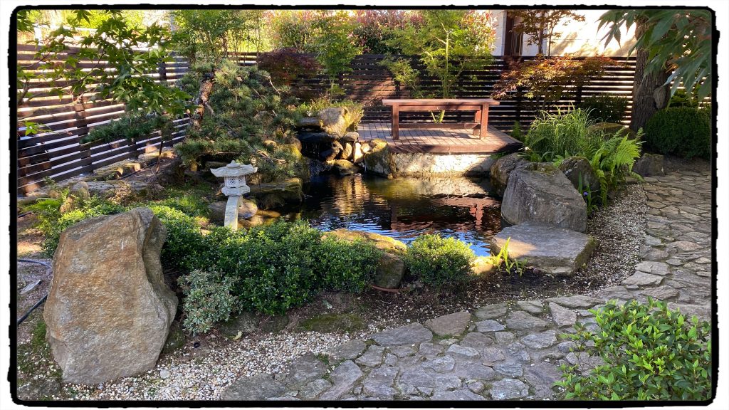 El Estanque - Elementos de Mi Jardín Japonés · Carla Amorim